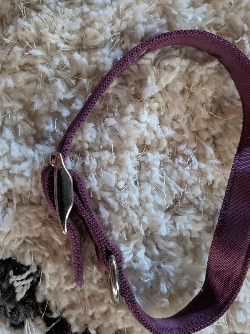 Purple Dog Collar